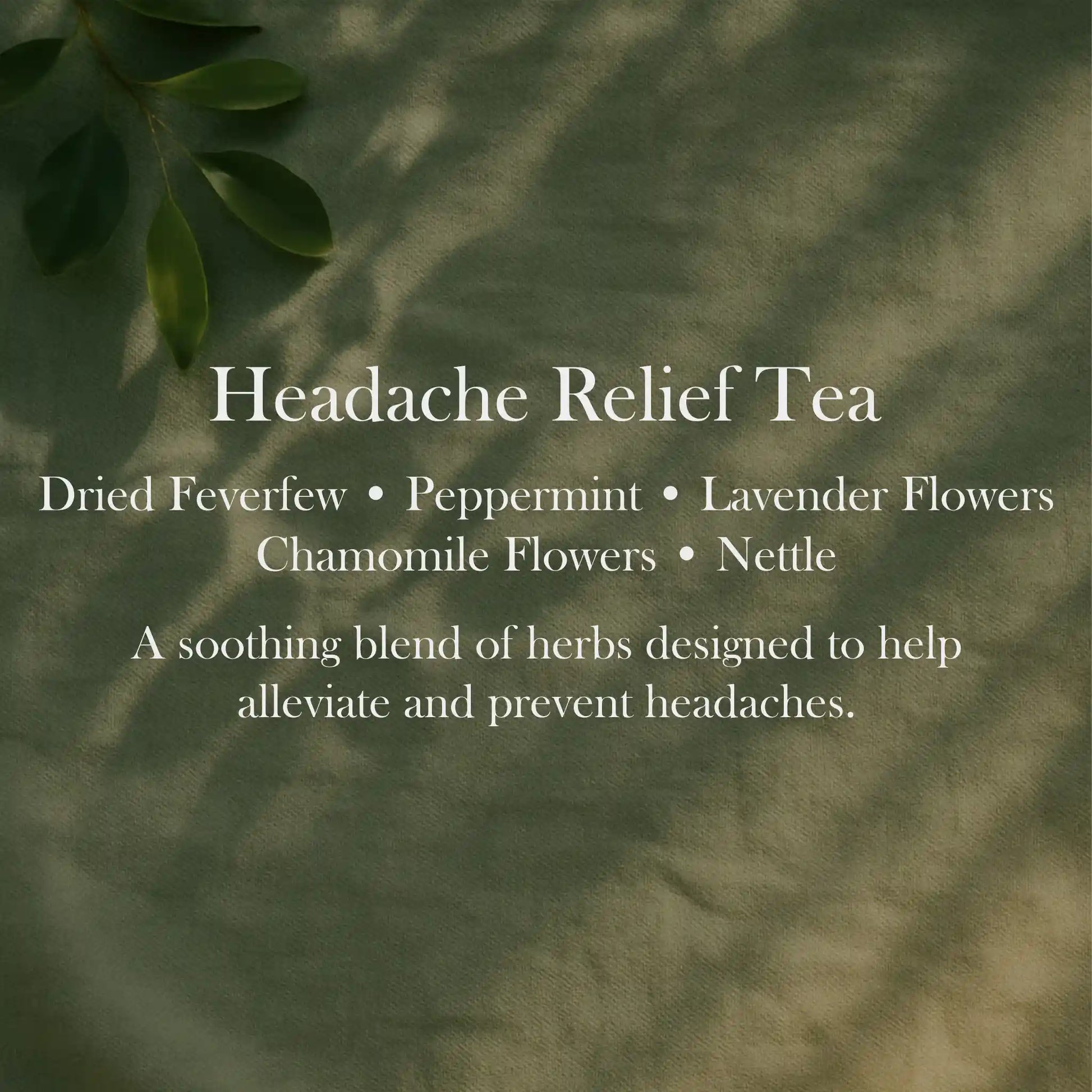 Headache Relief Tea for migraine relief, tension reduction and natural stress comfort.