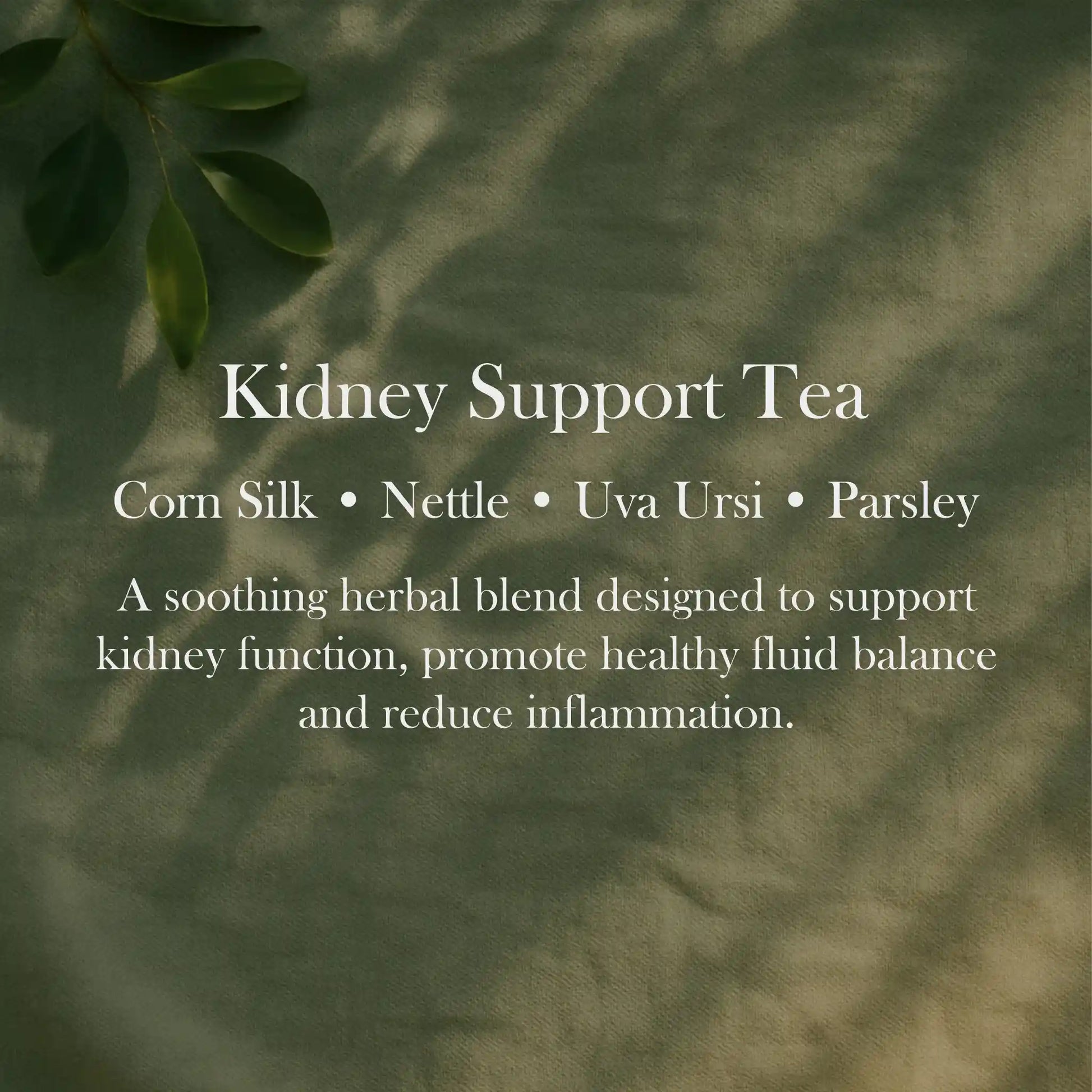 Kidney Support Tea for urinary health, detox balance, and inflammation reduction.